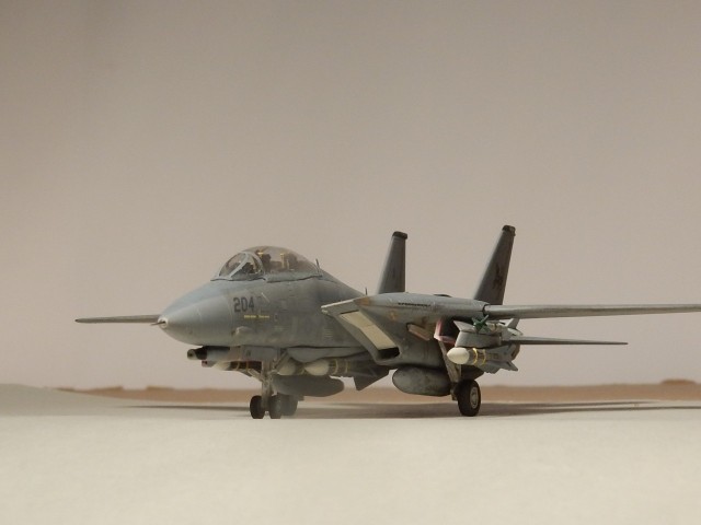 Grumman F-14D Tomcat (1/144)