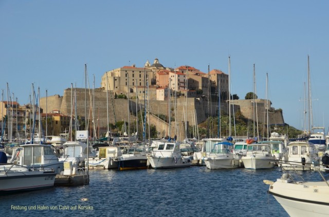 Festung und Hafen von Calvi auf Korsika (Foto Wilfred Grab)